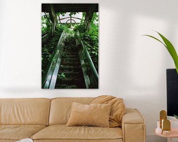 Verborgen natuur: de groene trap van Poster Art Shop
