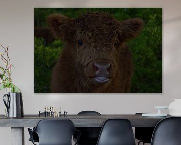 HighlandCow calf van IdzardCreations