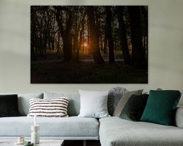 Zonsdergang bij Amerongse Berg