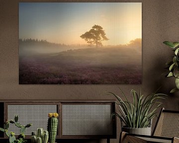 Mist boom en bloeiende heide van KB Design & Photography (Karen Brouwer)