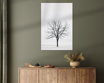 Alleenstaande boom in een winterdroom van Poster Art Shop