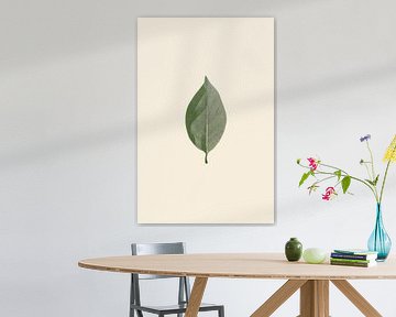 Grüne Eleganz der Natur von Poster Art Shop