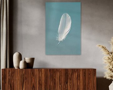 Soft feather on calming blue by Poster Art Shop
