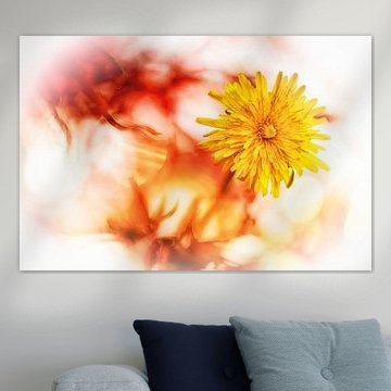 Dandelion flower in bright light