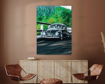 VW-Käfer auf der Brücke, Buggy-Abenteuer und Reisen