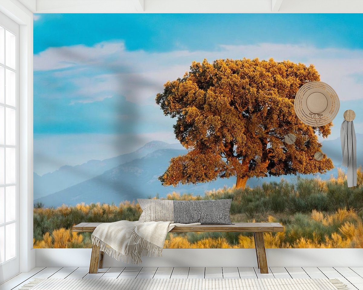 Raumvorschau