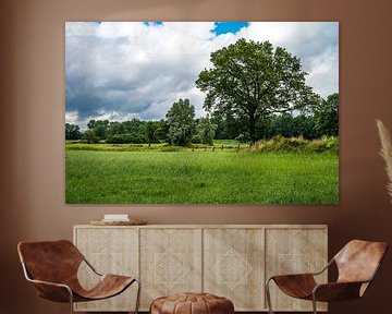 Idyllic landscape in Neuenhause, Germany