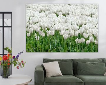 Witte tulpen van Sjoerd van der Wal