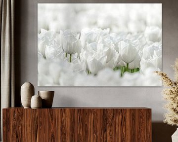 Witte Tulpen van Sjoerd van der Wal