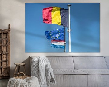 Vlaggen Belgie, EU en Nederland