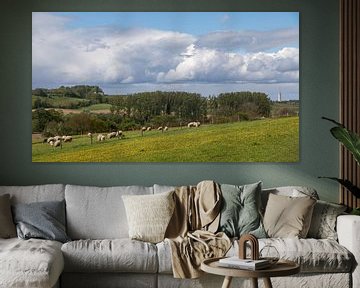 Spring atmosphere on the hills around Maastricht, South Limburg. by Marjolein Zijlstra
