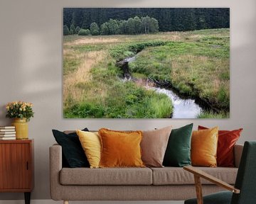 Rivier Roer in België van Richard Wareham
