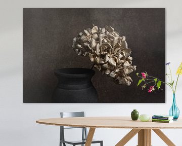 Nature morte avec un hortensia séché gros plan