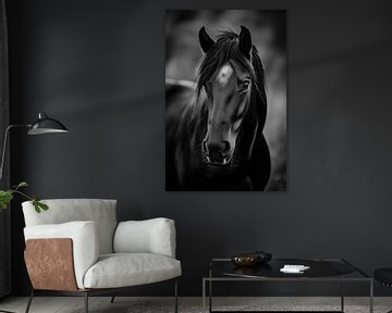 Majestueus zwart paard van Poster Art Shop