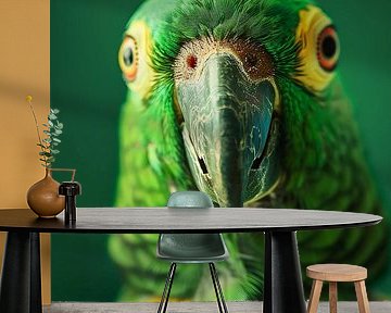 Grüner Papagei von haroulita