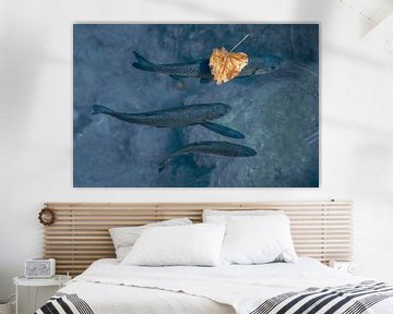 Quiet Waters - Fishing Under a Falling Leaf - fish - Krka waterfalls Croatia by Femke Ketelaar