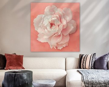 Blume auf rosa Hintergrund