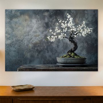 Bonsai tree on a grey robust table