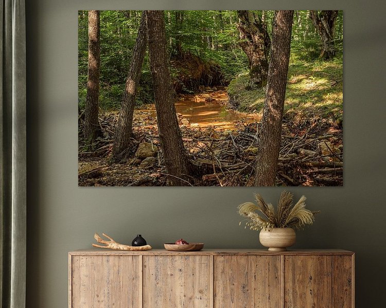 Aperçu de la chambre