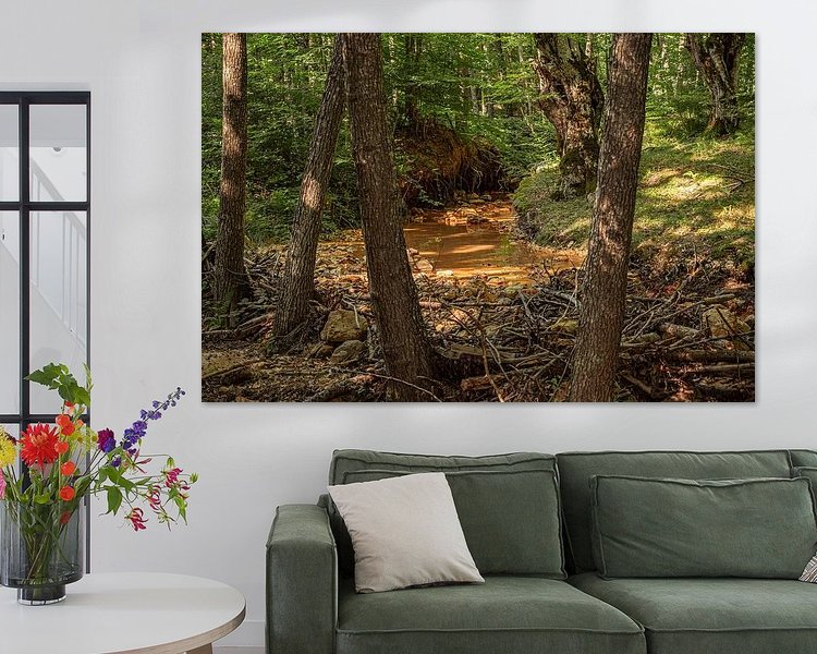 Aperçu de la chambre