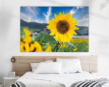 Summery lightness by Horst Dreisbach