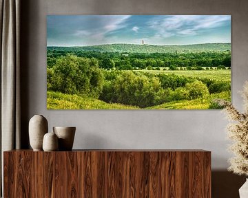 Berlin Grunewald sur Violetta Honkisz