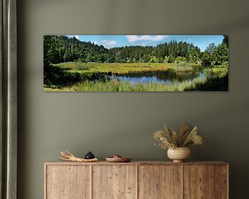 Nonnenmattweiher-Panorama im Schwarzwald 2.0
