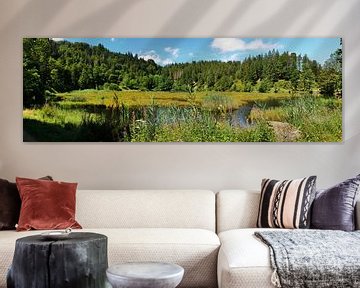 Nonnenmattweiher-Panorama im Schwarzwald 1.0