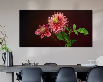 Red Dahlias's by Ben Winckelmans