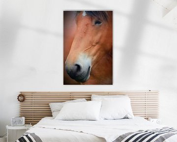 a horse sur Yvonne Blokland