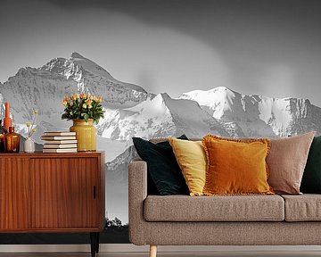 Panorama of the Swiss Alps in Black and White by Henk Meijer Photography