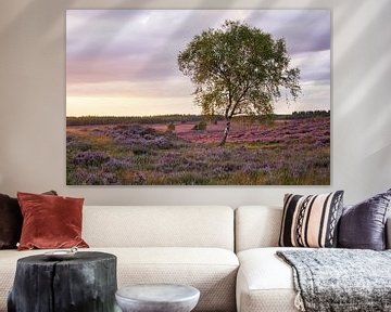 Bloeiende heide bij zonsondergang van Cor de Hamer