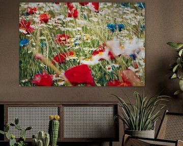 Sommerblumenwiese mit Mohn, Kornblumen und Kamille von Dirk Wüstenhagen