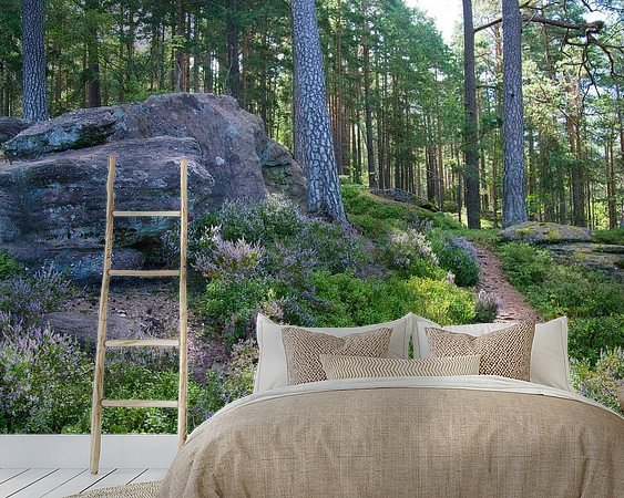 Aperçu de la chambre