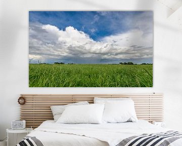 Paysage de printemps avec des nuages impressionnants sur Sjoerd van der Wal Photographie