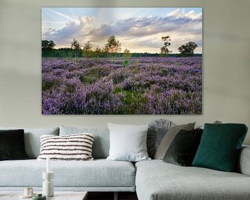 Zonsondergang boven bloeiende heide van Cor de Hamer