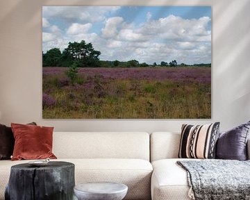 Heather in bloom by Michel van der Vegt