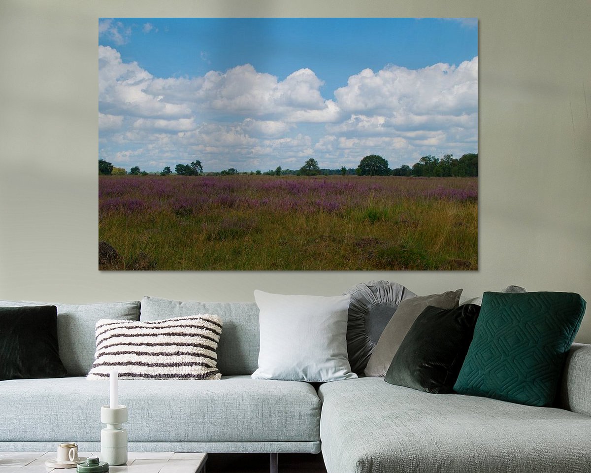 Raumvorschau
