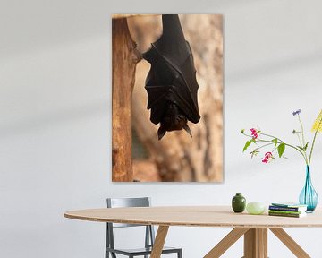 Fledermaus, die an einem Ast hängt