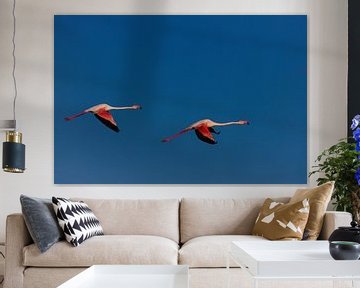 two flying flamingos by Winne Köhn