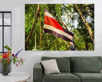 Flagge Costa Rica von Sander Verhoeven