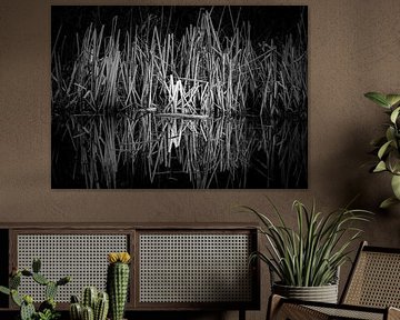 Zwartwit foto van riet langs de waterkant