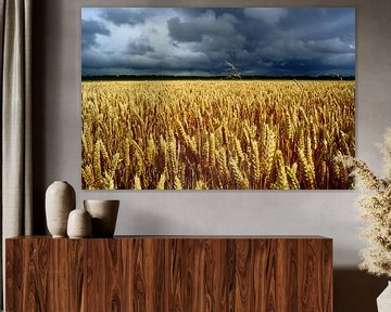 Getreidefeld und grauer Himmel von Michel van Kooten