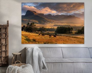 landscape and sea view