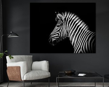 The zebra, a work of art by nature by Marjon Woudboer