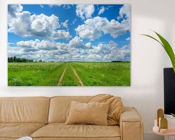 landscape with dramatic clouds