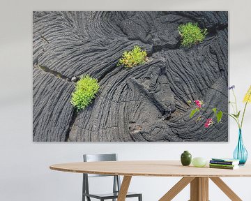 Lava von Antwan Janssen