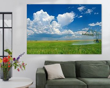 weiland met dramatische wolkenlucht van Egon Zitter