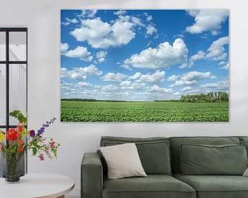 weiland met dramatische wolkenlucht van Egon Zitter