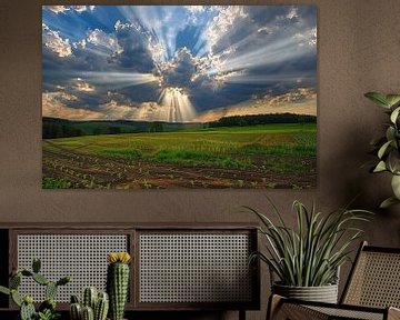 weiland met dramatische wolkenlucht van Egon Zitter